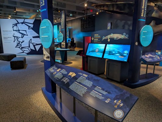 North Carolina Museum of Natural Sciences by null