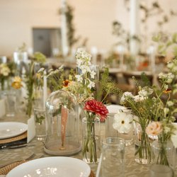 River Road Botanicals