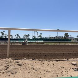 Woodford Reserve Derby DayClub
