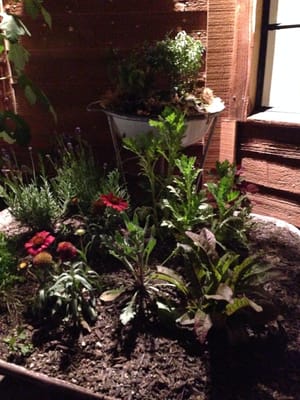 CUCINA Enoteca by null