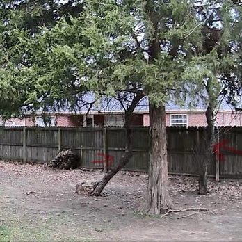 Charley's Tree Service - Damaged trees to be removed - Tree Services Near Me - Rogers, Arkansas