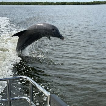 Captain Ty’s Charters - Tyler is known as the "dolphin whisperer" and he 100% lives up to this!!!! - Boat Charters Near Me
