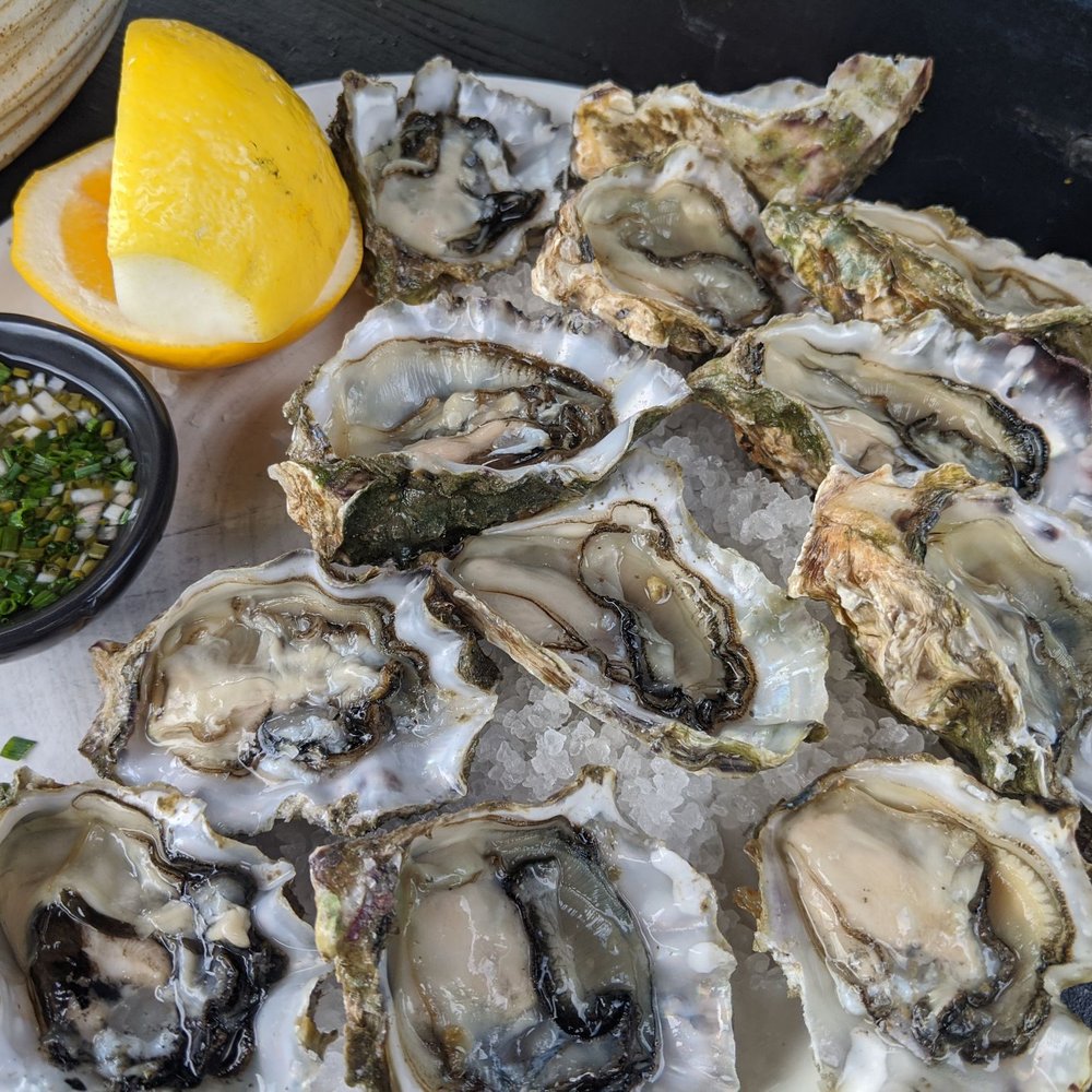 Rothko Restaurant - Oysters!! - New Zealand Near Me - Tawharanui Peninsula, AUK