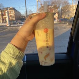 Mango pudding Mango pudding