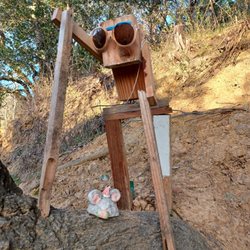 Bridgeview Trail - Cool dude troll