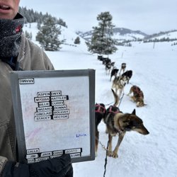 Jackson Hole Iditarod Sled Dog Tours