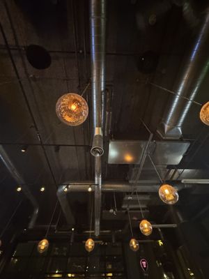 LOCAL Public Eatery Terry Ave by null