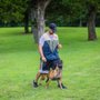 Photo of Ultimate K9 Training