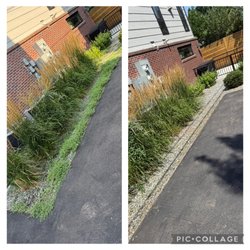 Elite Mow
