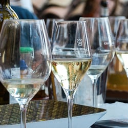 Castellroig - Vinos Castellroig