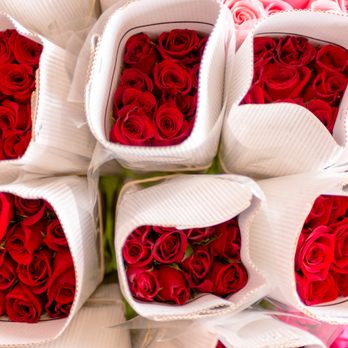 Jerry's Roses - Florists Near Me - Saint Paul, Minnesota Jerry's Roses - Florists Near Me - Saint Paul, Minnesota