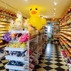 Ducks In The Window - So many ducks!
