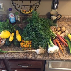 Lakeview Farm - Tons of colorful and flavorful produce - we never have leftovers!