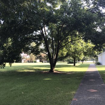 Kiesel Park - The shade these trees give is perfect for relaxing w a picnic - Dog Parks Near Me - Auburn, Alabama