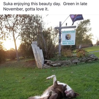 Grandpaws - Pet Sitting Near Me - Youngstown, New York