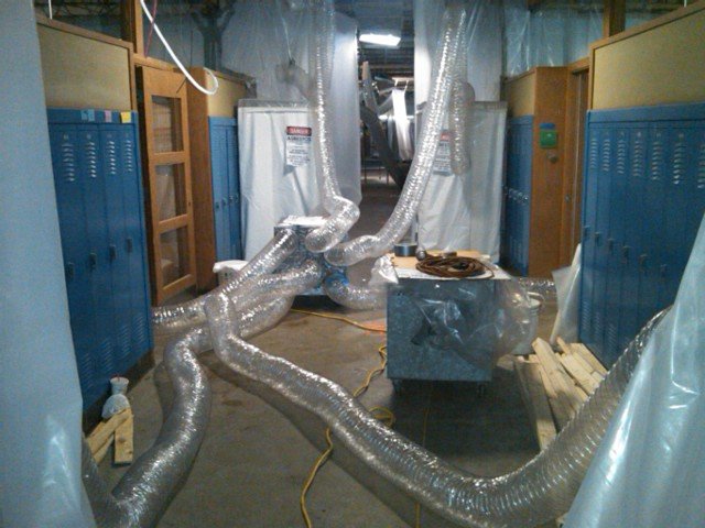 Weber Group Management - mold inspector in Chicago, IL