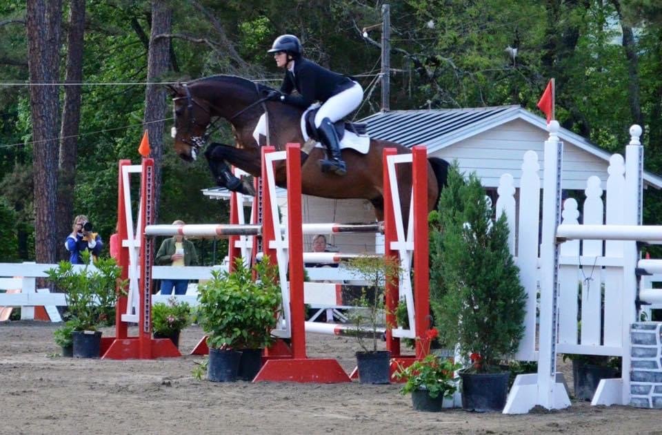 Willow Springs Equestrian Logo