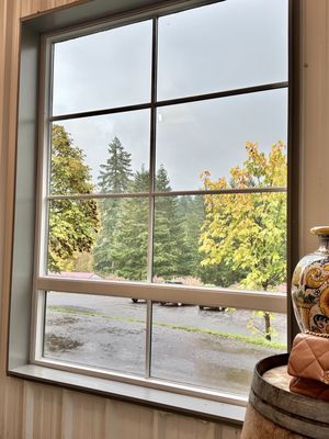 Apolloni Vineyards by null