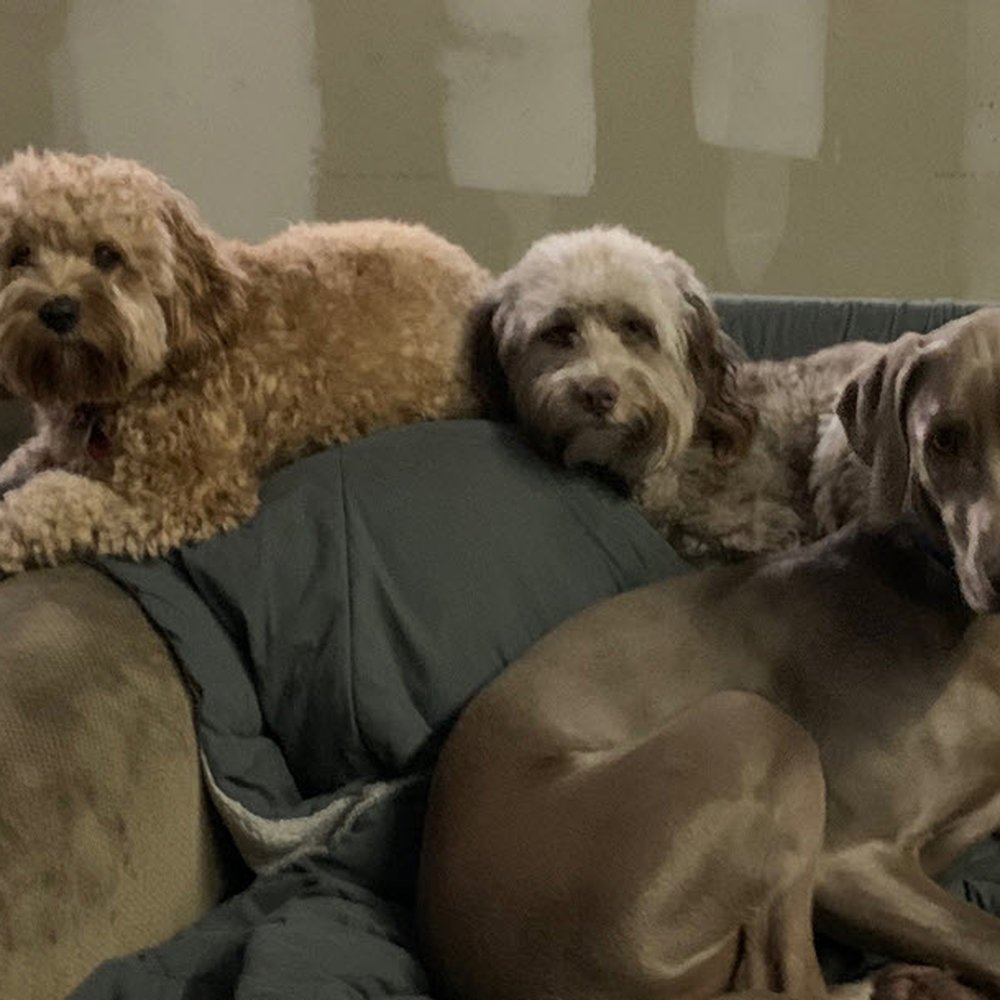 everyone "settled" and posed for a photo everyone "settled" and posed for a photo