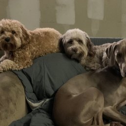 everyone "settled" and posed for a photo