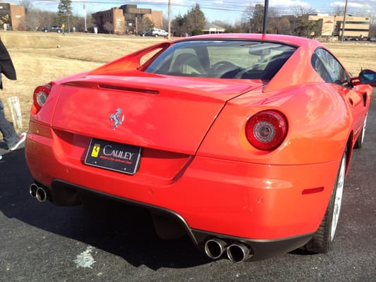 Cauley Ferrari of Detroit by null