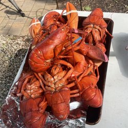 Shyer's Lobster Pounds