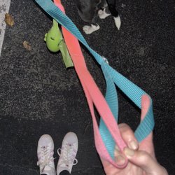 USA Dog Shop - The teal leash is going to tighten as soon as we start walking. It needs to be fixed.