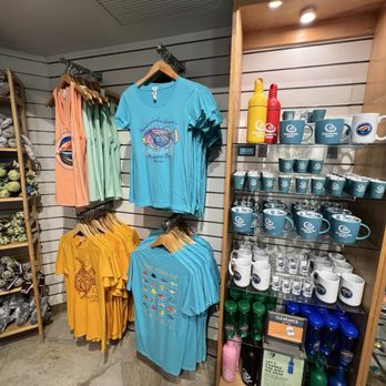Hanauma Bay Snorkel Adventures - Beach Equipment Rentals Near Me - Honolulu, Hawaii Hanauma Bay Snorkel Adventures - Beach Equipment Rentals Near Me - Honolulu, Hawaii