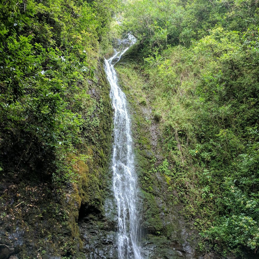 Lulumahu Falls - Hiking Near Me - Honolulu, Hawaii Lulumahu Falls - Hiking Near Me - Honolulu, Hawaii