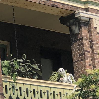 Talbot Street Art Fair by null