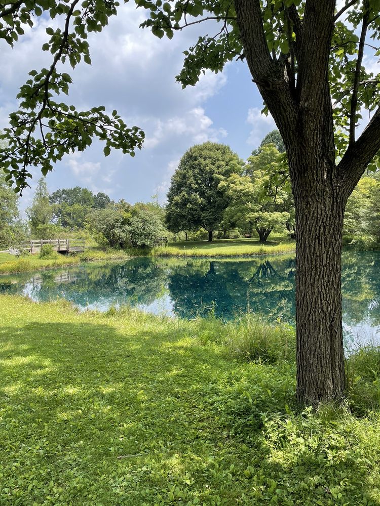 ADA TOWNSHIP PARK Updated September 2024 1180 Buttrick Ave SE, Ada