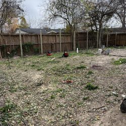 JM Lanscaping and Tree Services