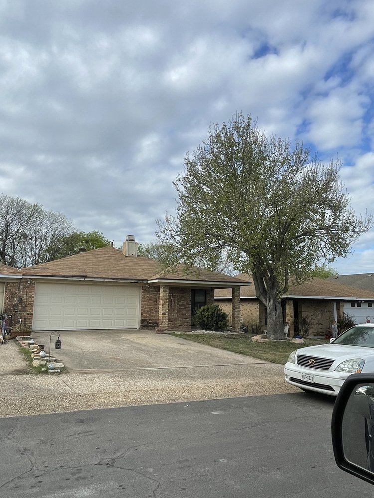 TRIPLE B LAND SERVICE 236 Private Rd 5133, Mount Calm, Texas Lawn