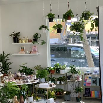 Spellcraft - Plant selection - Jewelry Near Me - Campbell, California