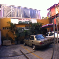 Los Felinos