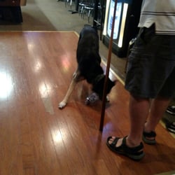 The Pit Stop Pub - Apparently visually impaired and has an empty popov bottle as a toy