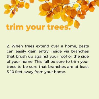Eco Pest Solutions - Pest Control Near Me - Chicago, Illinois