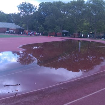 Linden Park - Breeding ground for mosquitos - Parks Near Me - Brooklyn, New York