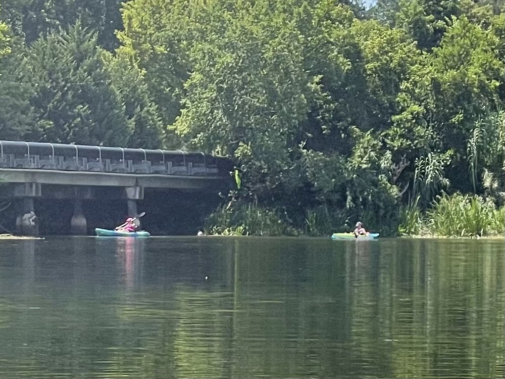 Social spots from Savannah Rapids Kayak Rental