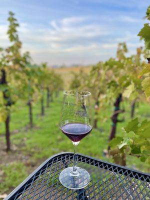 Lorenzi Estate Vineyards & Winery by null