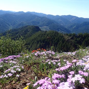 King's Mountain - Hiking Near Me - Tillamook, Oregon King's Mountain - Hiking Near Me - Tillamook, Oregon