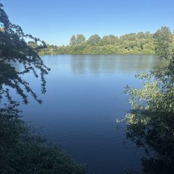 Tukwila Pond Park - Beautiful view