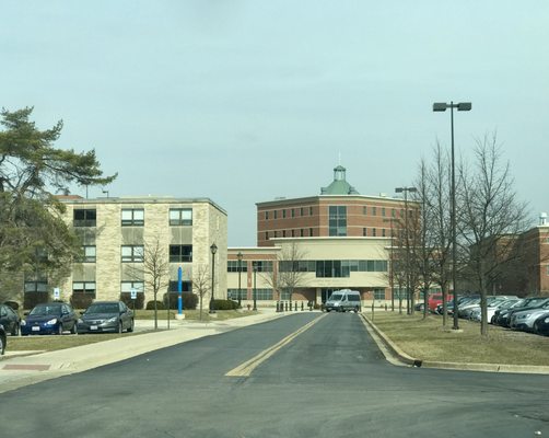 Benedictine University by null
