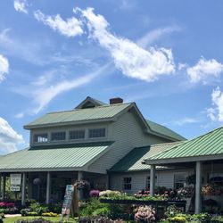 Harlow Farm Stand - The stand