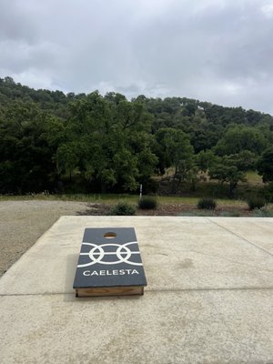 Caelesta Wines, Vineyard & Truffière by null