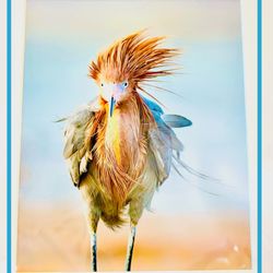 Boca Boutique - Local Artist