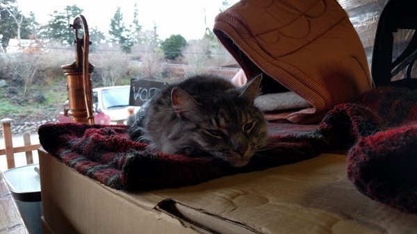 The Hardware Distillery by null