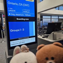 United Airlines - Flying from DEN to ONT!