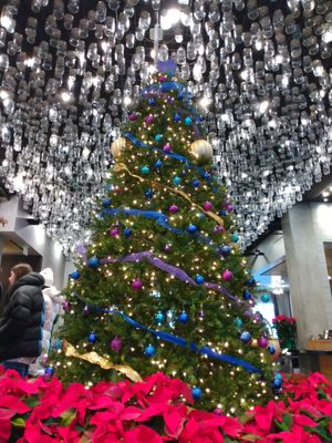 The Gordon Hotel by null