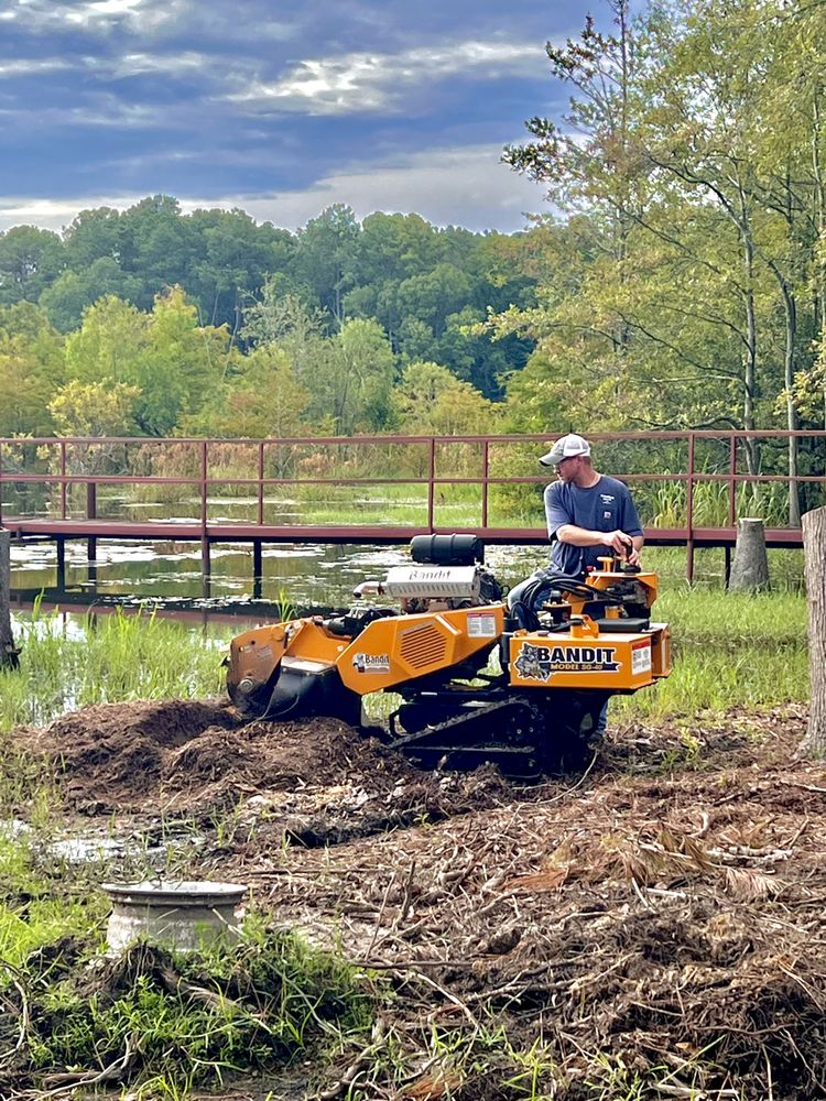 NELSON STUMP GRINDING Pittsview, Alabama Tree Services Phone